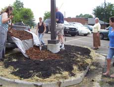 Mulch and Soil